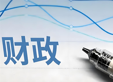 2025年財政政策執(zhí)行情況報告 政采政策效能顯著提升